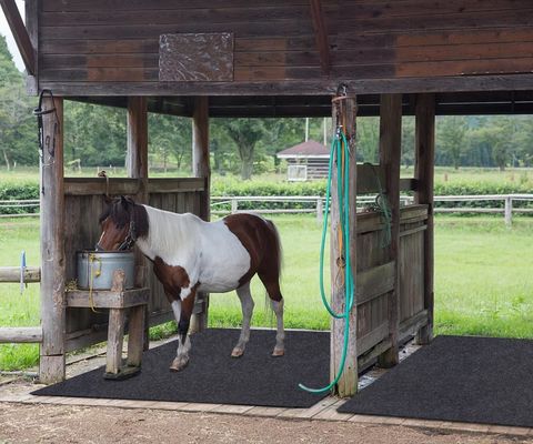 Equine Stall Mats Duty Stall Mats For Floor Surface Absorbent Mat Lightweight Washable Floor Mat Back Non-Slip (8' X 8')